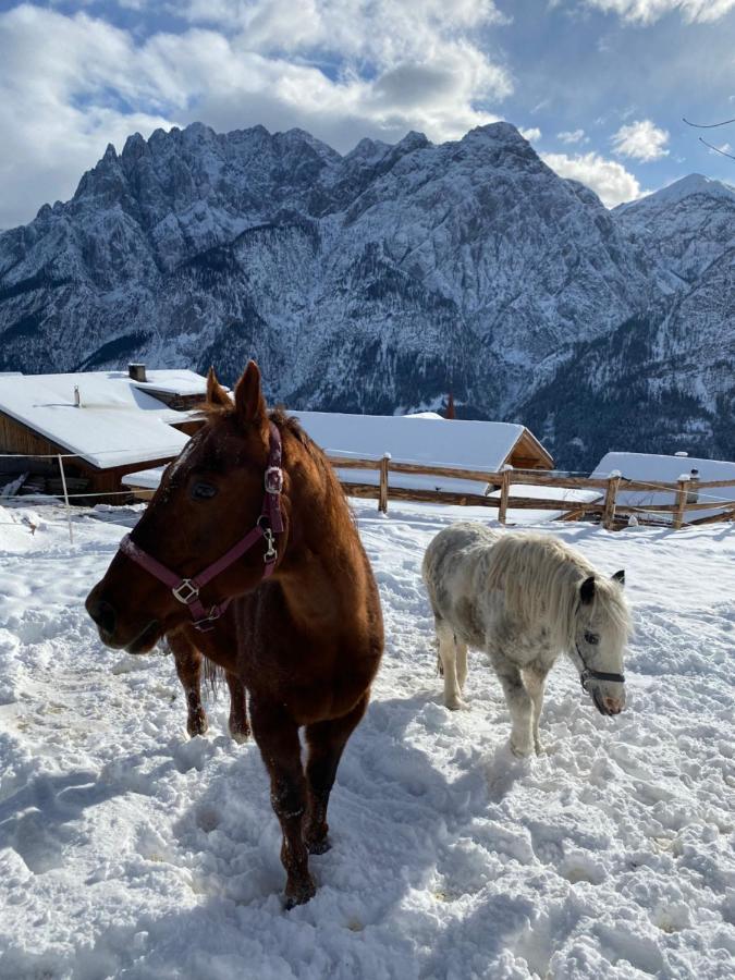 Southern Stables Ranch Bannberg Εξωτερικό φωτογραφία